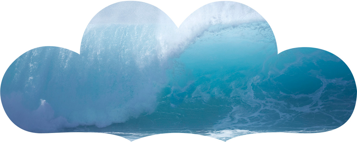 一站式為您提供全方位的解決方案