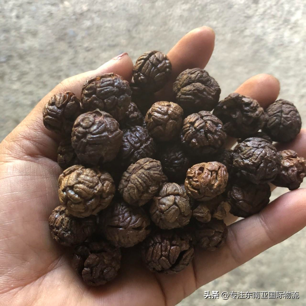 越南豆蔻海運(yùn)進(jìn)口深圳港如何辦理清關(guān)