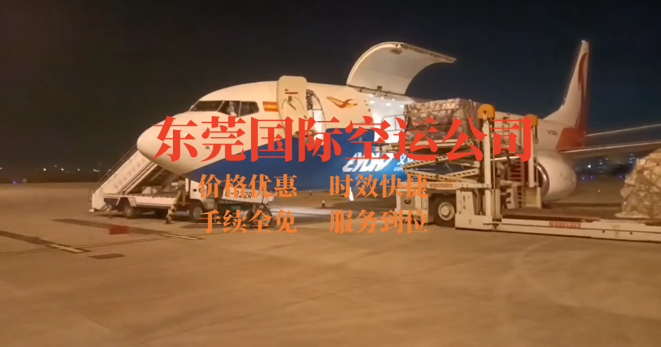 東莞國際空運(yùn)公司