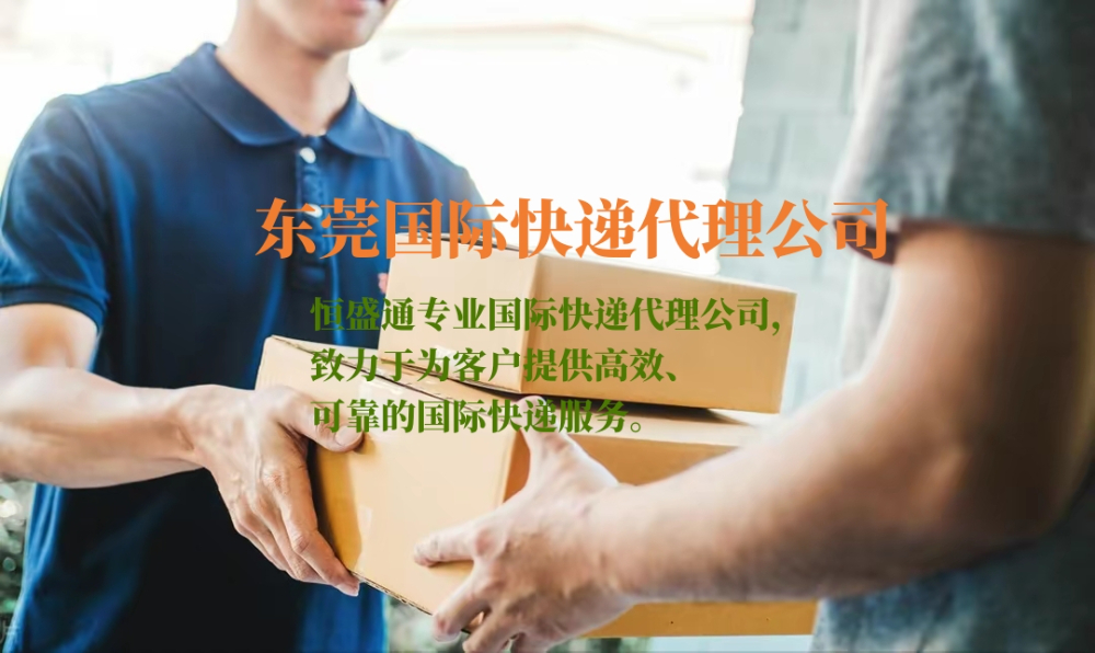 東莞國(guó)際快遞代理公司
