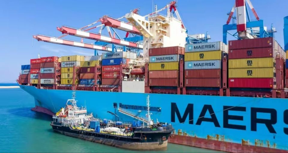 寧波港發(fā)運的兩大柜被查扣，案值5000萬、多人被抓！